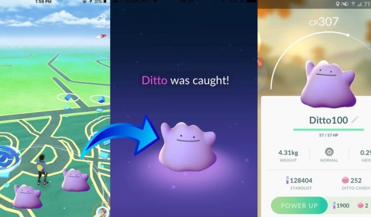 Pokémon GO Guia Mais Recente】- Como pegar um ditto?