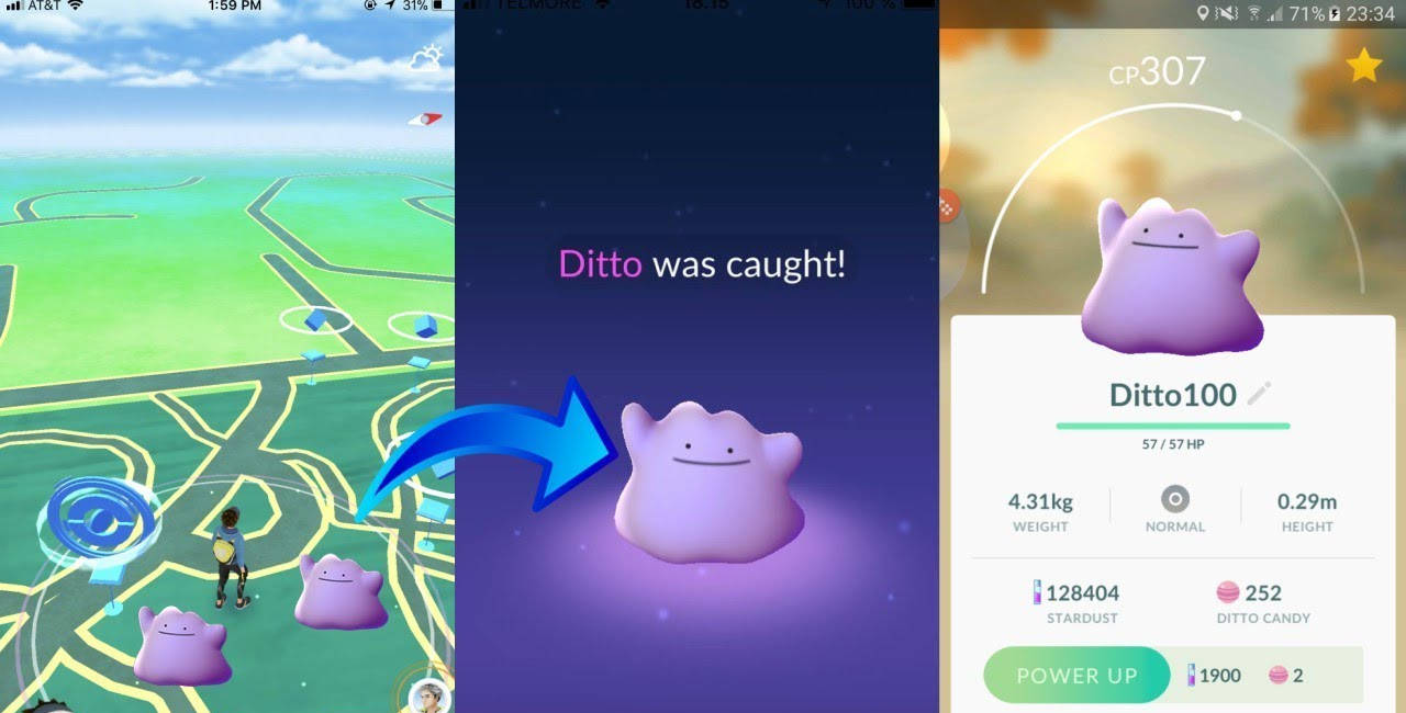 Pokémon Go - Como apanhar o Ditto e tudo o que precisas de saber